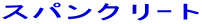 �X�p���N����g